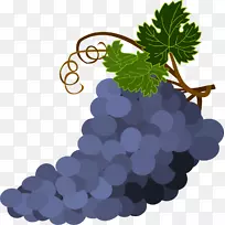 葡萄酒普通葡萄叶.紫色葡萄串