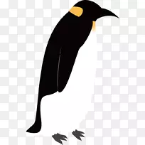 帝企鹅鸟画-黑色企鹅
