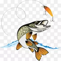 北梭鱼-免费摄影插图-跳跃小鱼