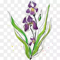 紫虹膜蛾兰花植物.紫罗兰PNG载体材料