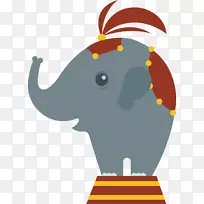 印度象马戏团-象载体