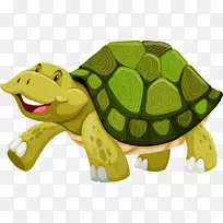 海龟壳图-快乐小乌龟