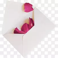 纸信封oludemi jagun多松木和共同心灵花瓣信封