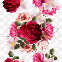 玫瑰花摄影-美丽的花卉载体材料绘画植物
