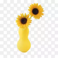 两种向日葵切花普通向日葵花瓶-黄色花瓶