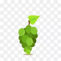 VINHOVERDE红酒VIN GRAIS橡木载体绿色水果葡萄