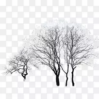 黑白天空图案树