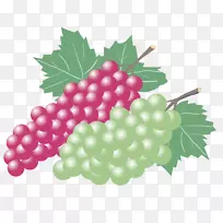 Kyoho葡萄酒zante醋栗无籽水果涂红葡萄和白无核葡萄