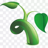 植物叶片绿叶绿色健康植物元素