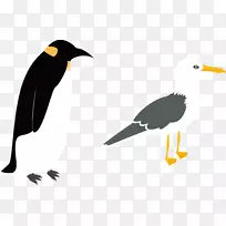 企鹅鸟-企鹅鸟