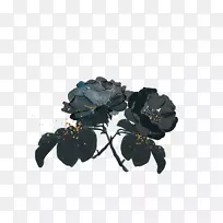 婚礼邀请函黑色玫瑰彩绘黑玫瑰