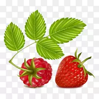草莓覆盆子剪贴画-卡通草莓PNG图片材料
