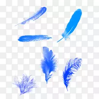 羽毛蓝色计算机文件-蓝色羽毛背景