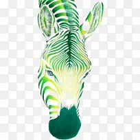 斑马水彩画-绿马形象