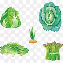 叶菜食品-五种蔬菜