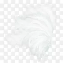 白色羽毛黑色图案-白色翅膀