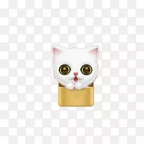 小猫科小胡子可爱卡通可爱小猫