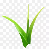 下载google图片壁纸-无花果细草