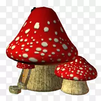 香菇载体真菌-蘑菇
