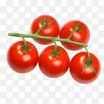 番茄汁樱桃番茄剪贴画-番茄
