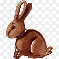 复活节兔子家兔水彩画-水彩画兔子设计