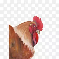 鸡水彩画艺术公鸡