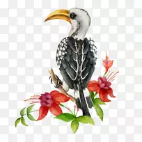 鸟类水彩画-免费水彩画-创意手绘水彩画鸟