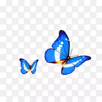 蝴蝶透明度和半透明android电脑-卡通蝴蝶