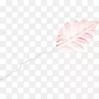 纸花瓣角图案-粉红色叶