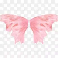 蝴蝶颈毛-粉红色翅膀