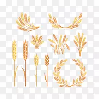 穗夹艺术-黄金小麦