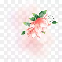 莲花水彩画剪贴画-莲花