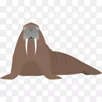 海狮海象卡通动物插图.手绘海豹