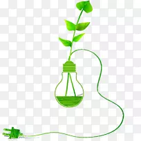 绿色白炽灯泡-绿色植物灯泡