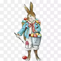 复活节兔子彼得兔子心理学-兔子