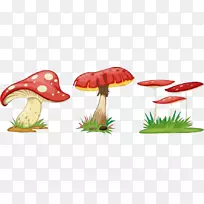 真菌动画蘑菇-蘑菇