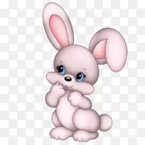 复活节兔子卡通可爱剪贴画-可爱的兔子