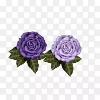 花园玫瑰紫色海滩玫瑰花紫色玫瑰