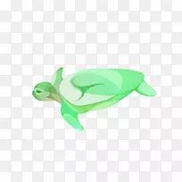 绿海龟-小绿海龟漆料