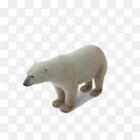 小北极熊-地球北极熊的极地