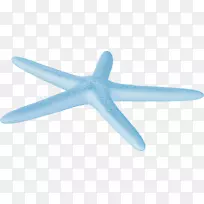 海星-海洋海星自由拉的物质形象