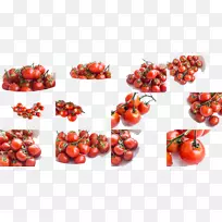 李子番茄樱桃番茄灌木丛