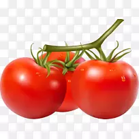 樱桃番茄圣马尔扎诺番茄摄影剪贴画-高清番茄