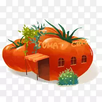 番茄汁樱桃番茄蔬菜番茄酱-番茄房