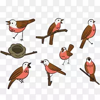 燕子-八种鸟类姿态