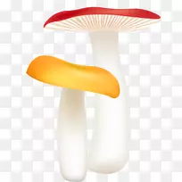 蘑菇绘制绘制蘑菇