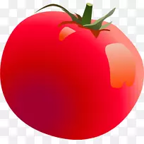 番茄汁樱桃番茄水彩画红手涂红番茄叶