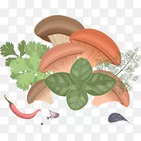 食用菌普通蘑菇.卡通蘑菇
