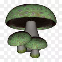 蘑菇绿色真菌免费-绿色蘑菇