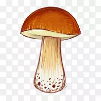 卡通插图-卡通蘑菇